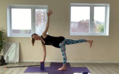 YOGA: Strong Flow: Stress Buster Back Supporter (60mins)