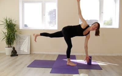 YOGA: Strong Flow: The Simple Power of the Breath (60mins)