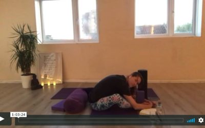 YOGA: Yin: Feet, Ankles and Calves (60mins)