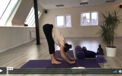 YOGA: Yin: Lower Back & Pelvis (60mins)