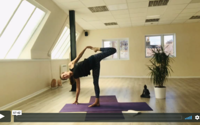 YOGA: Strong Flow: Sugarcane Flow (60mins)