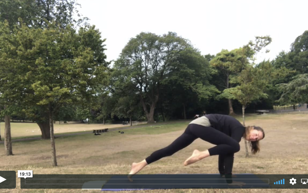 YOGA: Strong Flow: Down and Dirty (20mins)