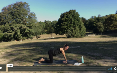 YOGA: Strong Flow: Fun Friday Flow (60mins)