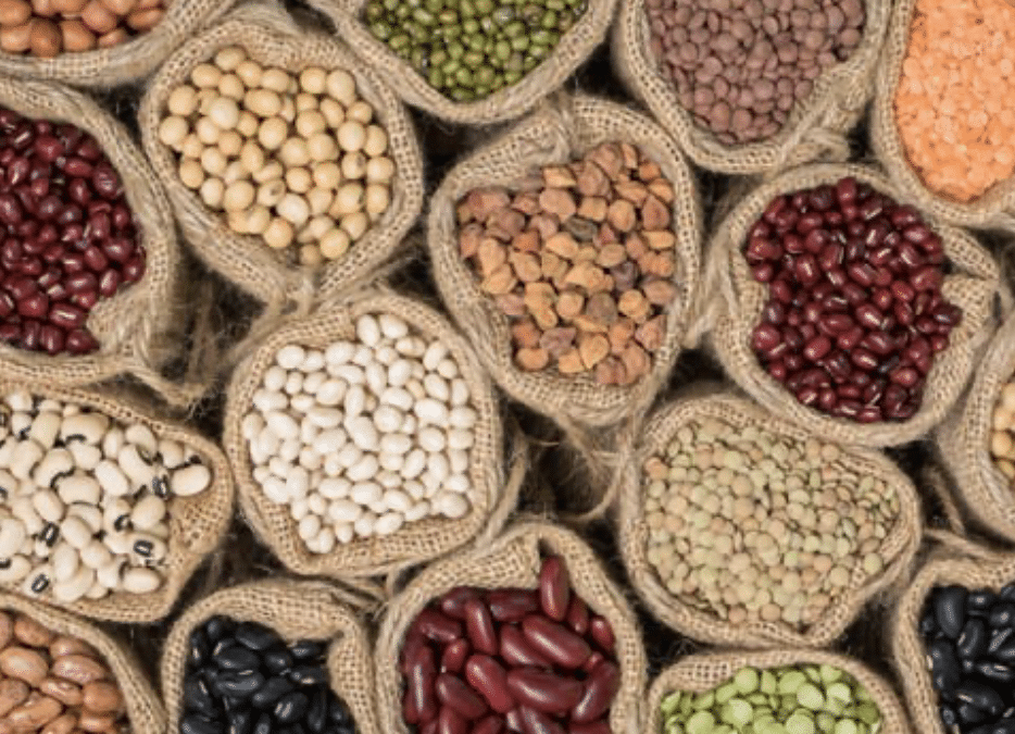 NUTRITION: Grains & Legumes (inc Peanuts)