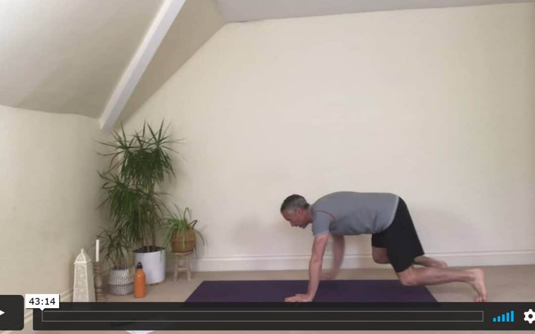 FITNESS: Cardio, crawl, core & HIIT (45mins)