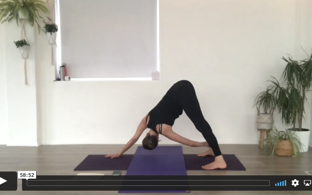 YOGA: Strong Flow: Organic Sides (60mins)