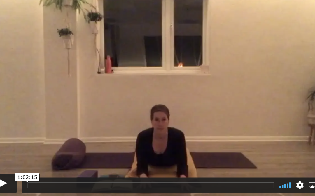 YOGA: Yin: Heart Zing (60mins)